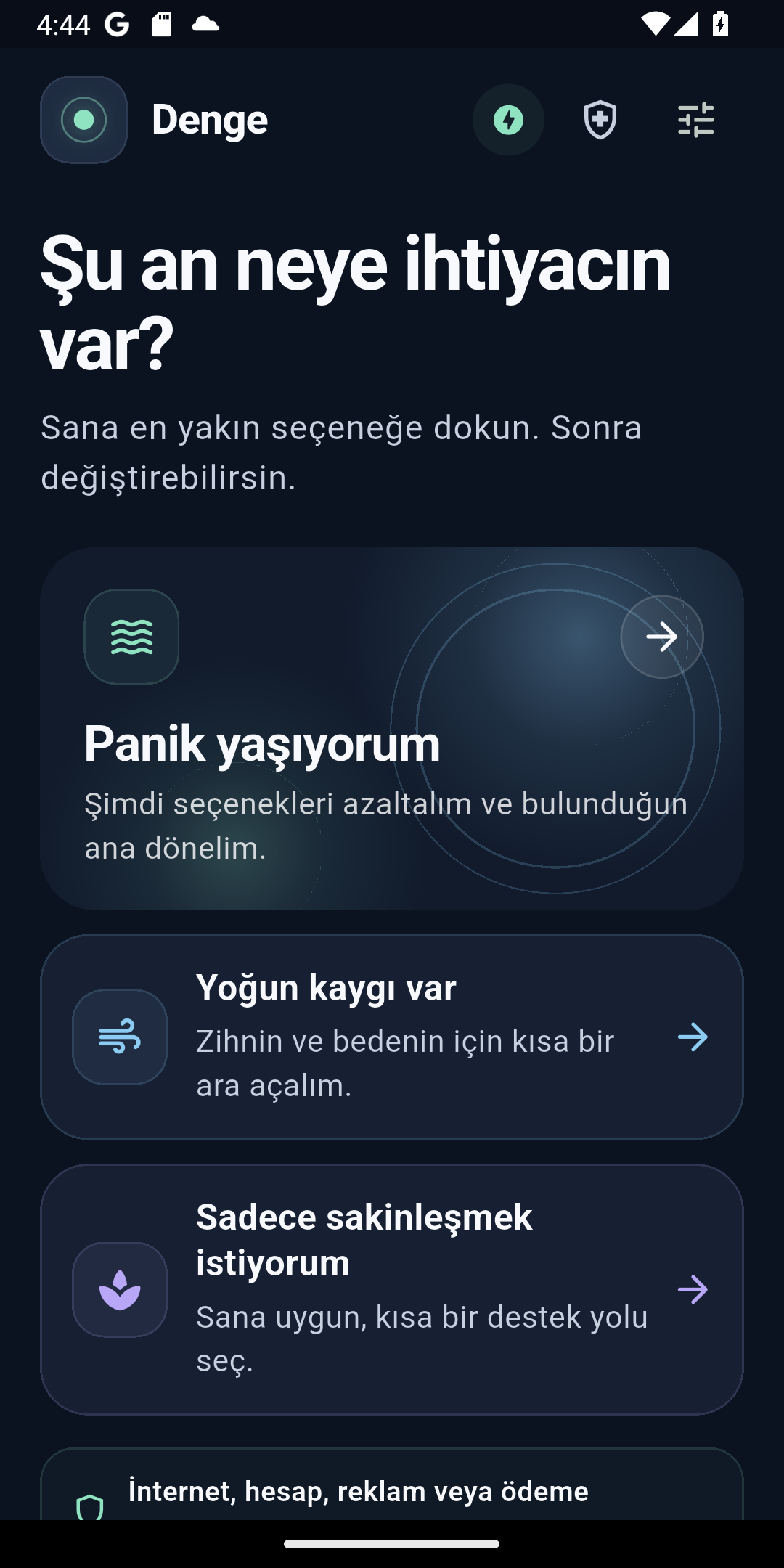 Denge ana ekranı